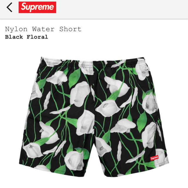 supreme  Nylon Water Short sサイズ