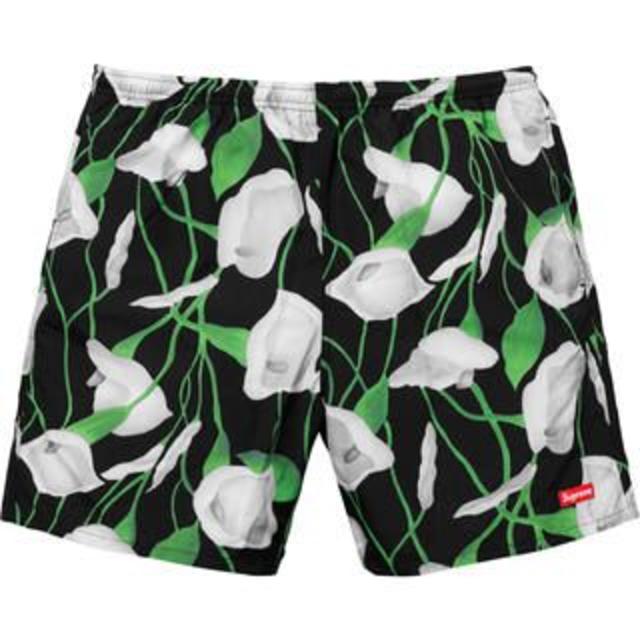 Lサイズ Supreme Nylon Water Short