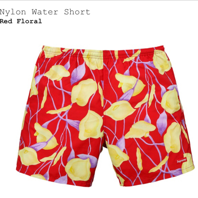 正規逆輸入品】 Supreme Nylon Water short Mサイズ 水着