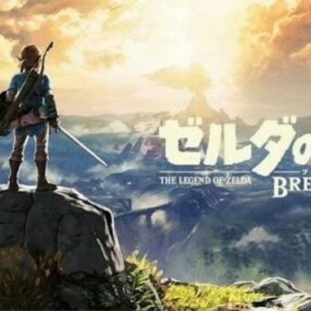 任天堂(ニンテンドウ)のボール様専用 ゼルダの伝説BoTW エンタメ/ホビーのゲームソフト/ゲーム機本体(家庭用ゲームソフト)の商品写真