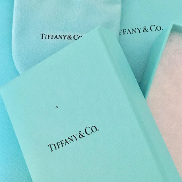 Tiffany & Co.(ティファニー)のTiffany 巾着袋  レディースのアクセサリー(ネックレス)の商品写真