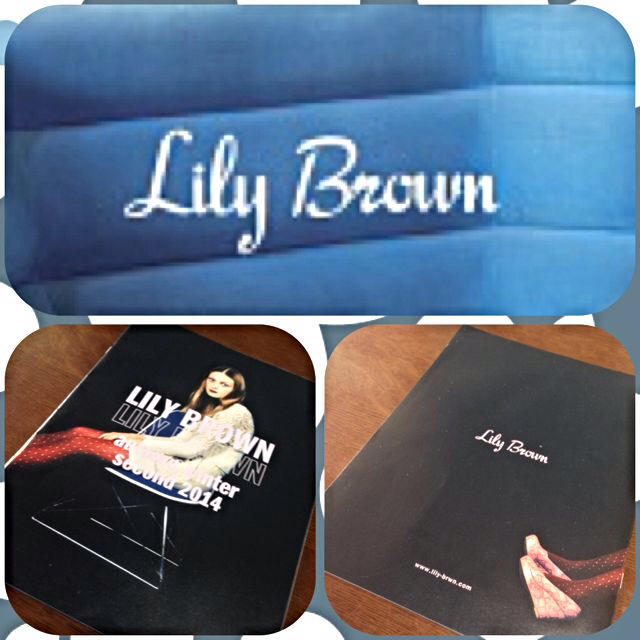 Lily Brown(リリーブラウン)のLily Brown★カタログ エンタメ/ホビーのエンタメ その他(その他)の商品写真