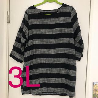 3L！美品 ボーダー柄チュニック(チュニック)