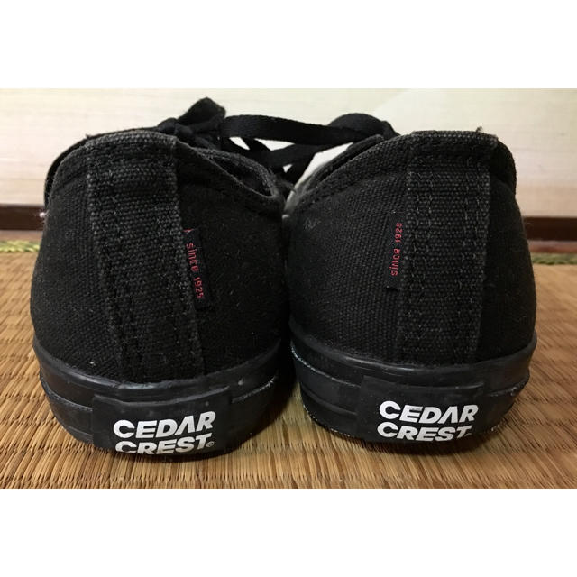 CEDAR CREST(セダークレスト)のCEDAR CREST スニーカー コンバース風 レディースの靴/シューズ(スニーカー)の商品写真