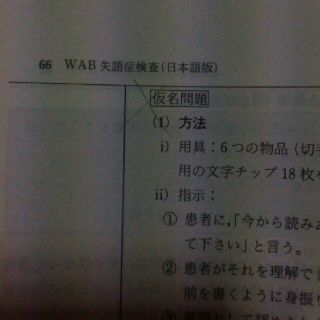 WAB失語症検査日本語版 医学書院 +検査用紙+例題