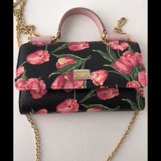 ドルチェアンドガッバーナ(DOLCE&GABBANA)の未使用☆2017SS DOLCE&GABBANA VON BAG(その他)