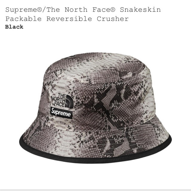 supreme The north face ハット