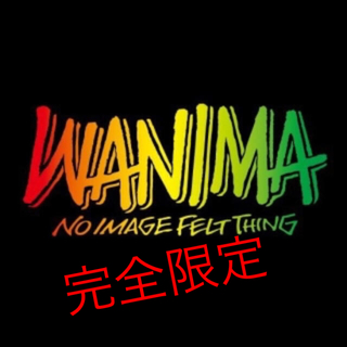 ワニマ(WANIMA)のWANIMA ワニマ ラスタ Tシャツ eruma様専用(ミュージシャン)