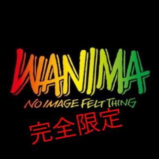 ワニマ(WANIMA)のWANIMA ワニマ ラスタ Tシャツ eruma様専用(ミュージシャン)