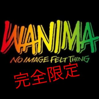 ワニマ(WANIMA)のWANIMA ワニマ ラスタ ブラック Tシャツ L ワンチャン 完全限定(ミュージシャン)