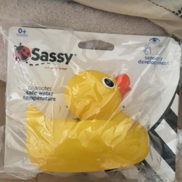 Sassy(サッシー)のsassy ヒヨコちゃん エンタメ/ホビーのおもちゃ/ぬいぐるみ(キャラクターグッズ)の商品写真