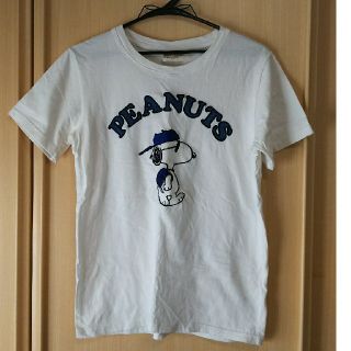 ピーナッツ(PEANUTS)のPEANUTS  スヌーピー レディース半袖Ｔシャツ(サイズＭ)(Tシャツ(半袖/袖なし))