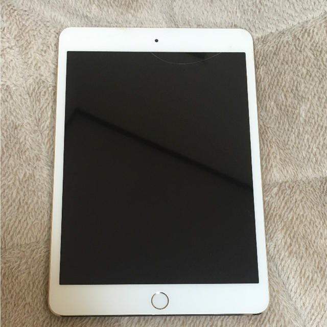 iPadmini3 本体