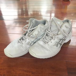 アシックスショウジ(asics)のasics バスケシューズ 25cm(バスケットボール)