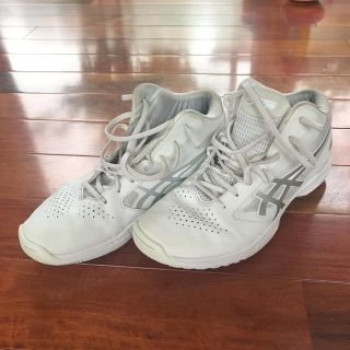 アシックス(asics)のasics バスケシューズ 25cm(バスケットボール)