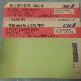 ANA株主優待券 ２枚セット(航空券)