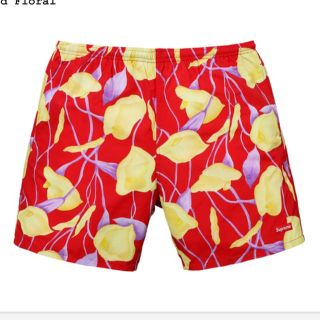 シュプリーム(Supreme)の【M】supreme Nylon Water Short(水着)