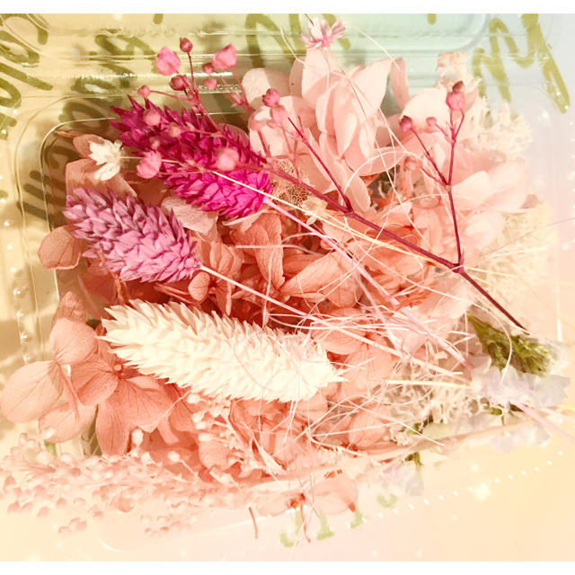 ピンク×ピンクセット☆ ハンドメイドのフラワー/ガーデン(プリザーブドフラワー)の商品写真