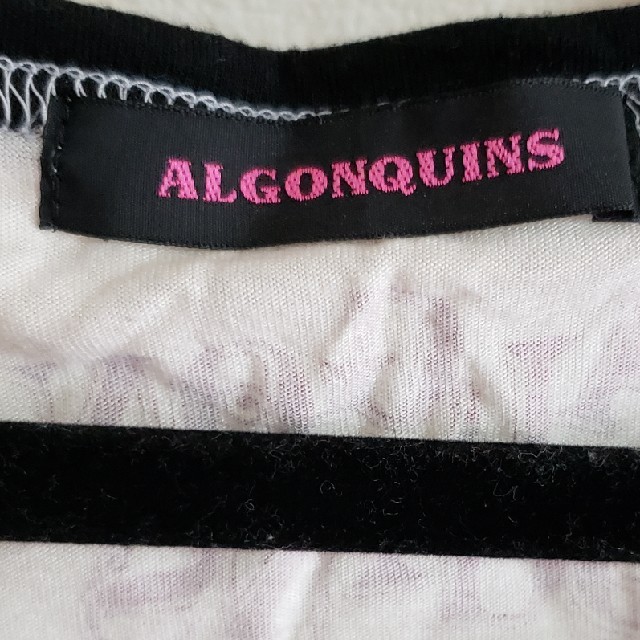 ALGONQUINS(アルゴンキン)のアルゴンキン ラグランTシャツ レディースのトップス(Tシャツ(長袖/七分))の商品写真