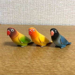 カイヨウドウ(海洋堂)の海洋堂 チョコエッグ キエリクロボタンインコ 3点セット(その他)