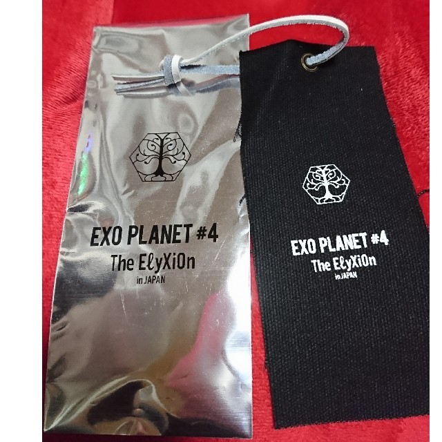 EXO(エクソ)のEXO チェン☆ネームタグ エンタメ/ホビーのタレントグッズ(アイドルグッズ)の商品写真