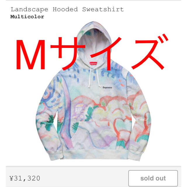 SUPREME Landscape Hooded ランドスケープパーカーL