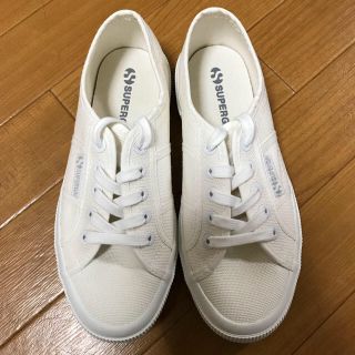 スペルガ(SUPERGA)の最終値下‼️《新品》スペルガ スニーカー ホワイト 36(スニーカー)