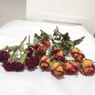 バラ❁ドライフラワー 薔薇 赤 ハーバリウム スワッグ ハンドメイド 花材(ドライフラワー)