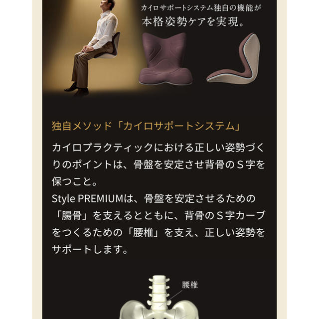 MTG スタイルプレミアム 骨盤矯正 美品 | hospitaldeyumbo.gov.co