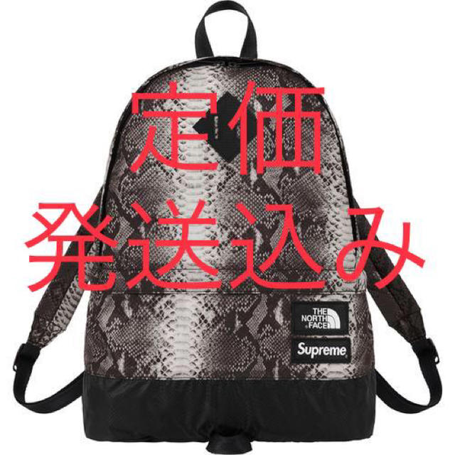 Supreme the north face day pack backpack