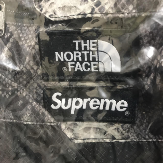 Supreme(シュプリーム)のSupreme northface snakeskin バックパック メンズのバッグ(バッグパック/リュック)の商品写真