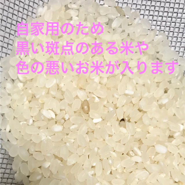 お米5kg 農家直送 つや姫 食品/飲料/酒の食品(米/穀物)の商品写真