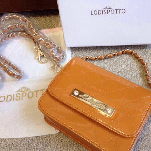 LODISPOTTO(ロディスポット)のLODISPOTTO♡マルチケース♡ レディースのファッション小物(ポーチ)の商品写真