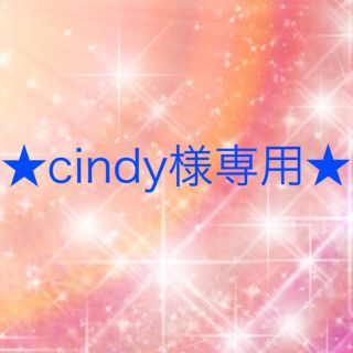 ワコール(Wacoal)のcindy様専用(その他)