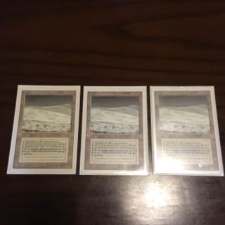 マジックザギャザリング(マジック：ザ・ギャザリング)のMTG Tundra NM３枚(シングルカード)