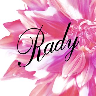 レディー(Rady)のkana様専用♡(パジャマ)