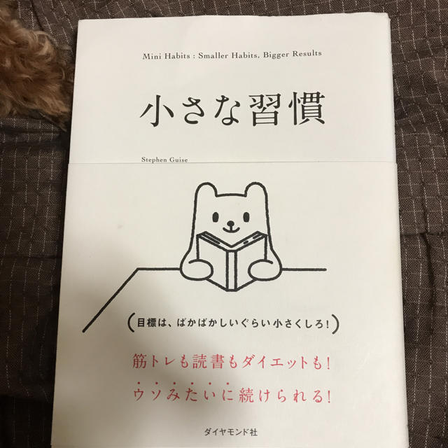 ダイヤモンド社(ダイヤモンドシャ)の小さな習慣 エンタメ/ホビーの本(ノンフィクション/教養)の商品写真