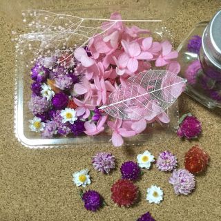 千日紅ドライフラワーMIX 紫陽花&千日紅&花かんざし(ドライフラワー)