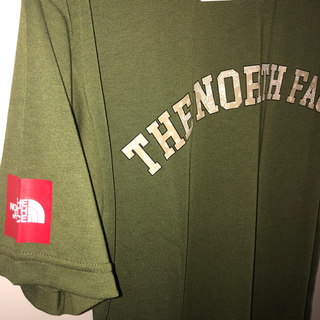 THE NORTH FACE(ザノースフェイス)のTHE NORTH FACE Tech Tee Tシャツ ペイズリー バンダナ メンズのトップス(Tシャツ/カットソー(半袖/袖なし))の商品写真