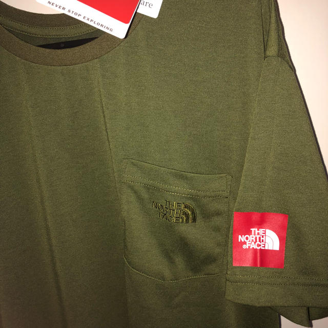 THE NORTH FACE(ザノースフェイス)のTHE NORTH FACE Tech Tee Tシャツ ペイズリー バンダナ メンズのトップス(Tシャツ/カットソー(半袖/袖なし))の商品写真