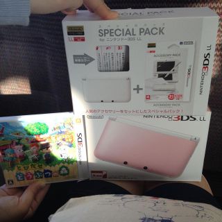 どうぶつの森セット、3DS LL(その他)