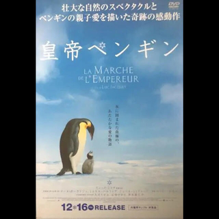皇帝ペンギン sample 非売品(外国映画)
