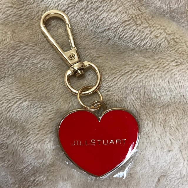 JILLSTUART(ジルスチュアート)のJILLSTUART  雑誌付録 レディースのファッション小物(ポーチ)の商品写真