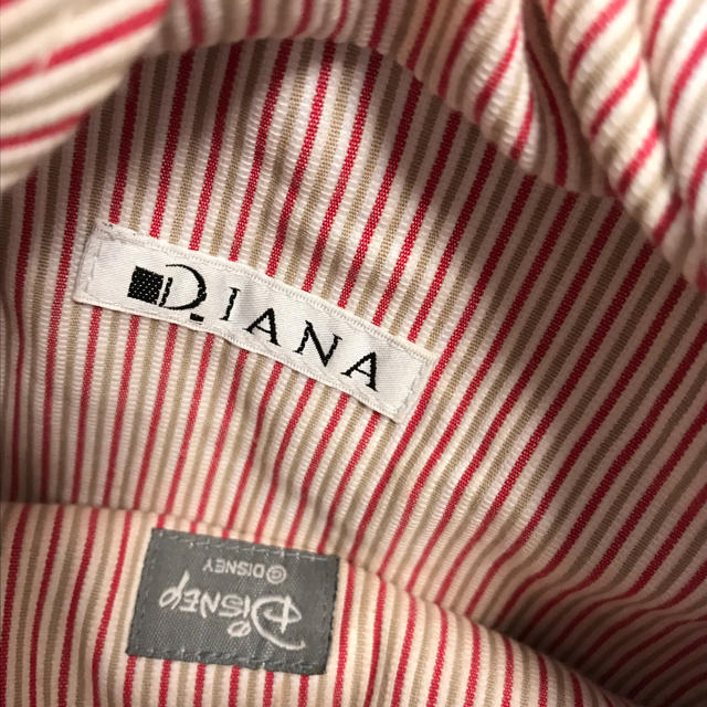 DIANA(ダイアナ)のDIANA♡カゴバック レディースのバッグ(ハンドバッグ)の商品写真