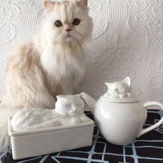 アフタヌーンティー(AfternoonTea)の涼しげな白猫！アフタヌーンティー　Afternoon Tea　猫　バターケース(容器)