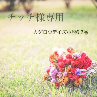 チッチ様専用〜カゲロウデイズ小説6.7巻〜(文学/小説)