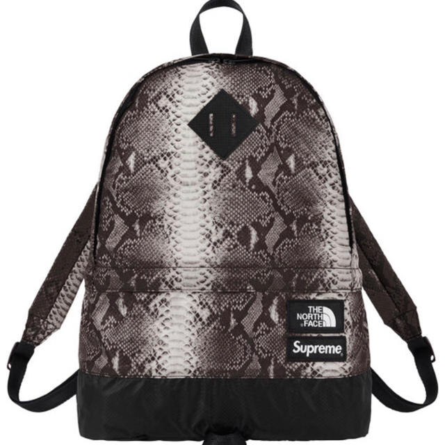 Supreme THE NORTH FACE バックパックバッグ