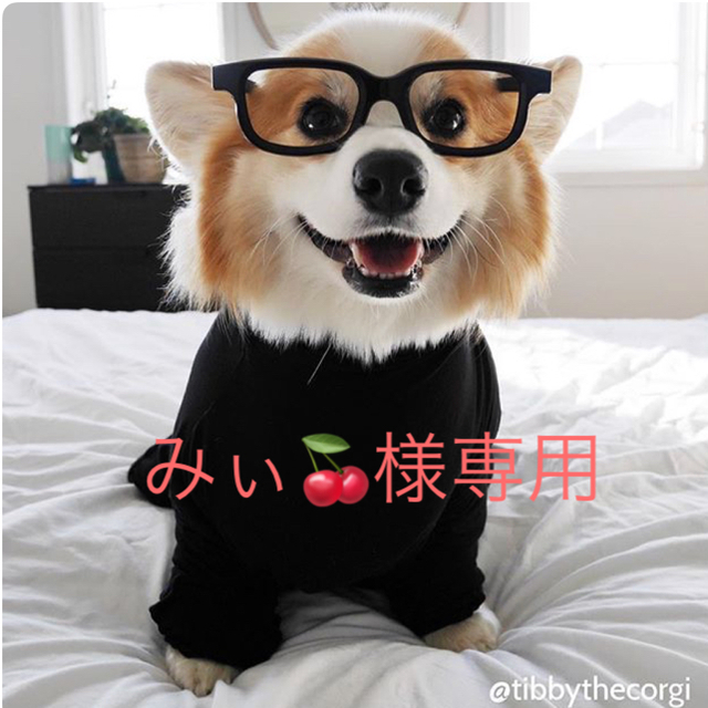 みぃ みぃ