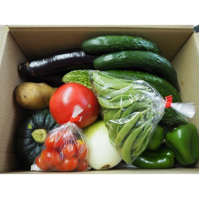 農家直売　詰合せ　80サイズ　送料込み　熊本産 食品/飲料/酒の食品(野菜)の商品写真