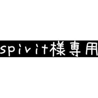 spirit様専用(PC周辺機器)